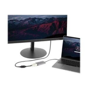 Adaptador StarTech.com USB-C a DVI, con Doble Enlace - Imagen 2