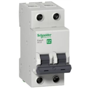 Interruptor SCHNEIDER ELECTRIC Bipolar 2x25KA Automático